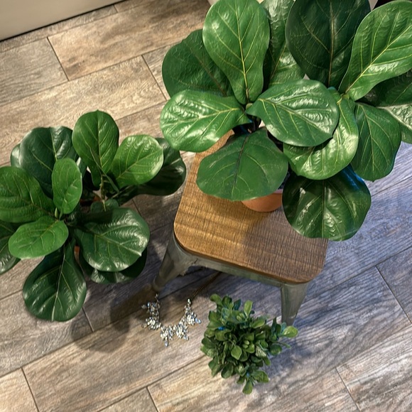 Set of 2 GREEN THUMBS 🙈‼️ - Picture 1 of 7